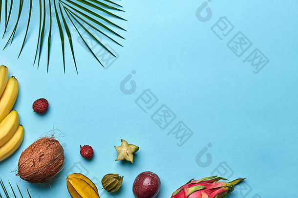 绿色棕榈枝和各种热带水果的角框，蓝色背景，空白处为文本。平铺