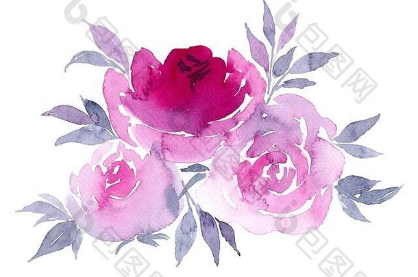浪漫的粉红玫瑰花在白色背景上与剪贴路径隔离。非常适合情人节、婚礼、请柬、感谢卡和明信片。