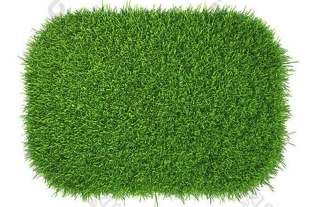 绿色草自然背景纹理新鲜的春天绿色草