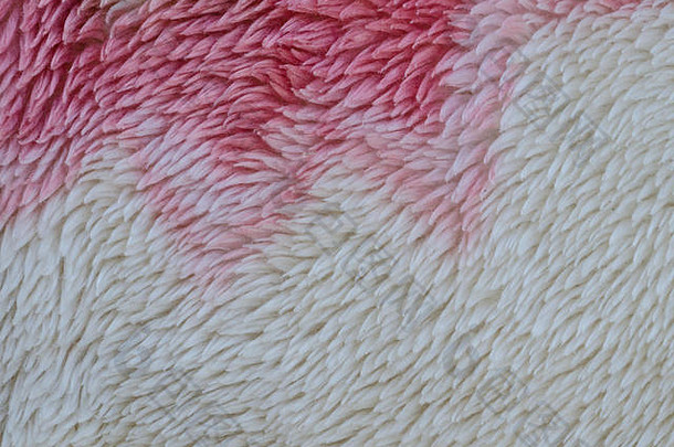 表面水平毯子织物纹理
