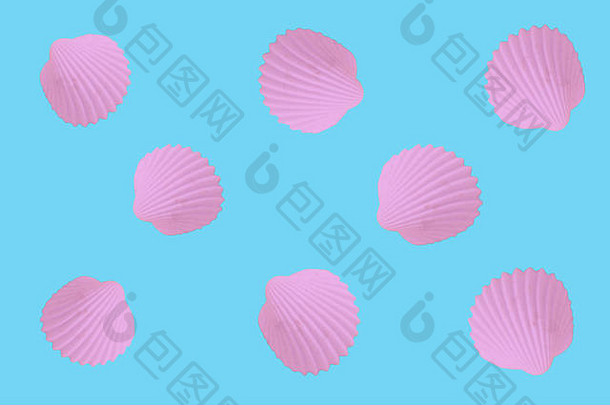 有创意的柔和的色彩斑斓的作文牡蛎贝壳明亮的不寻常的夏天概念