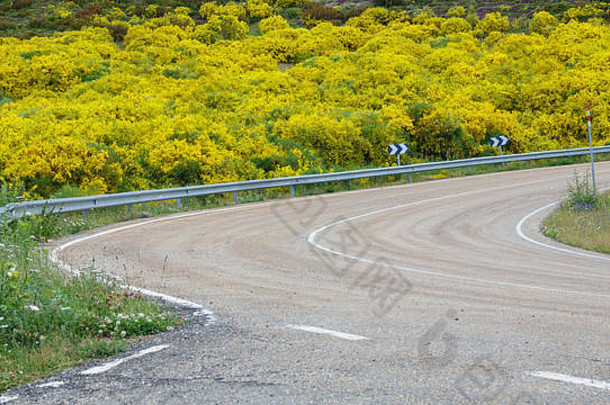 西班牙的带栅栏和<strong>花</strong>丛的曲线