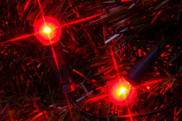圣诞节点缀挂树色彩斑斓的灯