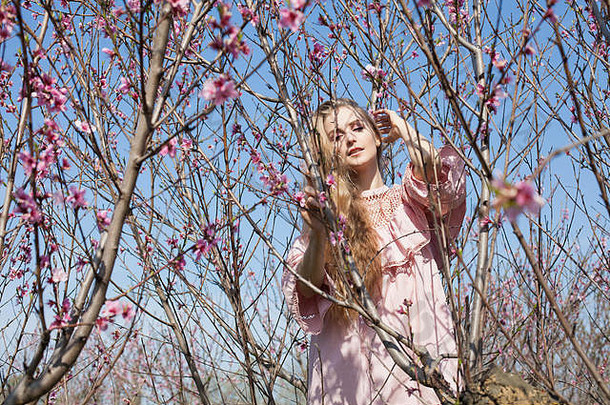 春天，美丽的金发女郎在开满粉红色花朵的桃园里