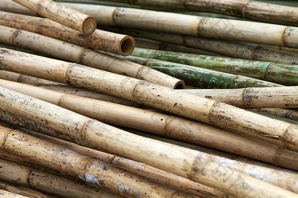 泰国的一堆竹子