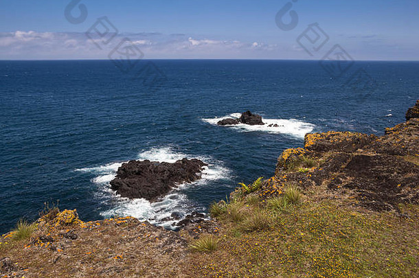 前悬崖覆盖草地平静水大西洋海洋多云的天空<strong>春天</strong>北为什么米格尔亚速尔岛屿葡萄牙