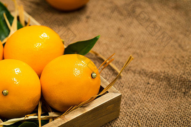 柠檬橙子迈耶柠檬混合动力柑橘类水果本地的中国