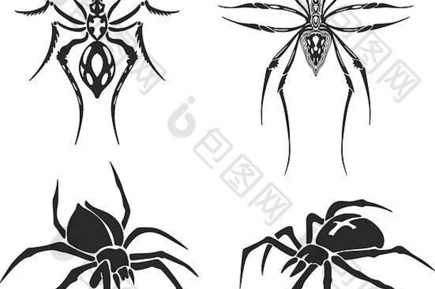 黑白纹身蜘蛛套装，包括对称草图