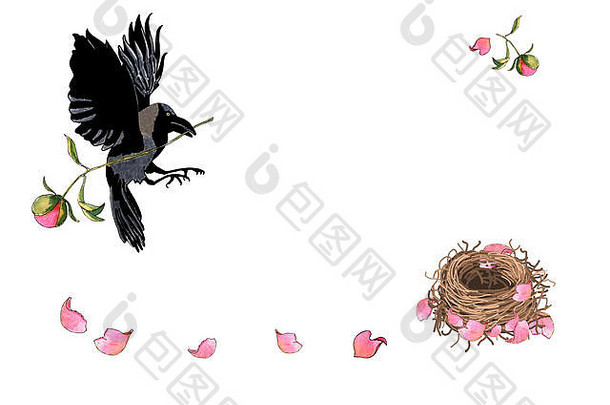 嘴上叼着花的乌鸦。鸟妈妈用手工绘制的牡丹花瓣筑巢。浪漫、问候或邀请的插图
