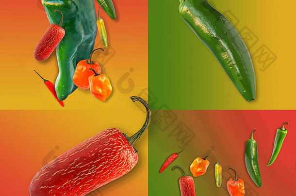 在这张照片插图中可以看到许多类型的辣椒