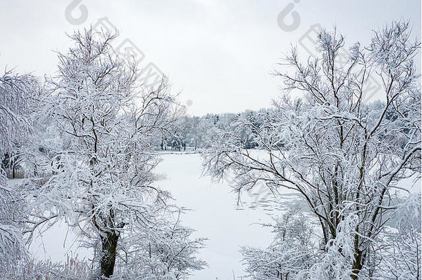 鸟瞰冬季美丽的风景，树木覆盖着白霜和白雪。从上面看冬天的景色。用无人机拍摄的风景照片。