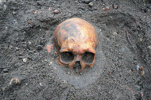 考古发掘，古董头骨仍半埋在地下。