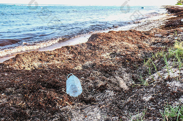 开曼岛海滩上的一个空塑料瓶
