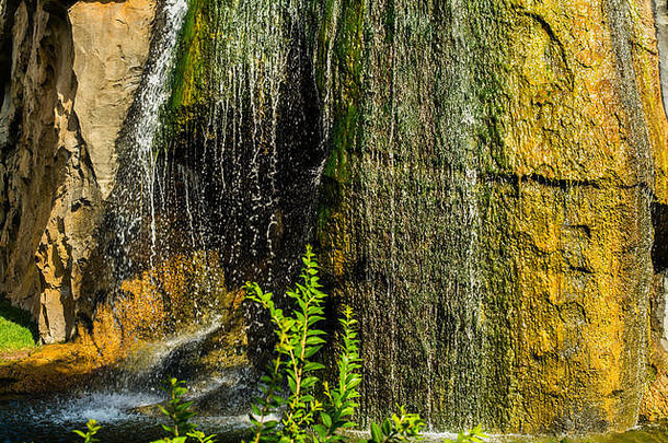 热带自然水运行垂直绿色淡黄色的岩石明亮的夏天一天