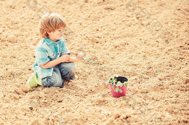 孩子有趣的铲植物能种植场助手花园男孩种植花场挖掘地面工作农场妈妈。自然概念种植幼苗