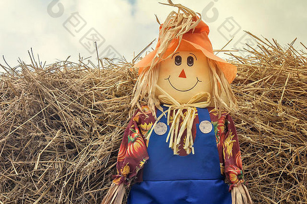 稻草堆背景上戴着帽子的小个子男人看到的有趣的布娃娃。