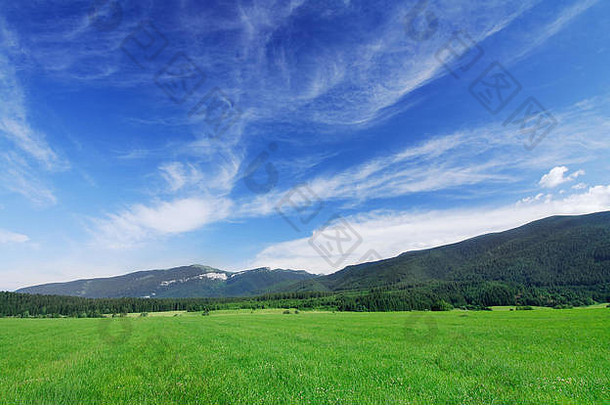 风景，绿色田野的景色，背景中的蓝天白云