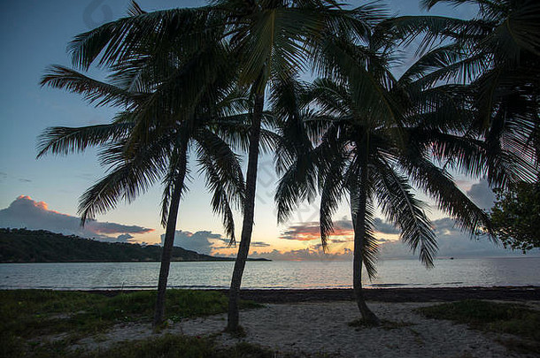 海滩上的椰树和美丽的天空