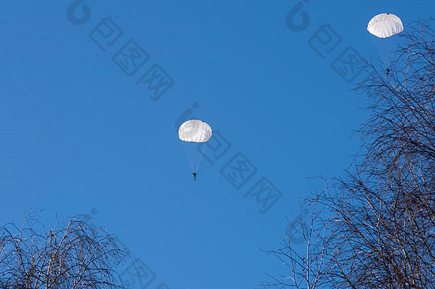 一对跳伞者在明亮的蓝天上飞行