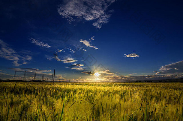 日落小麦场夏天