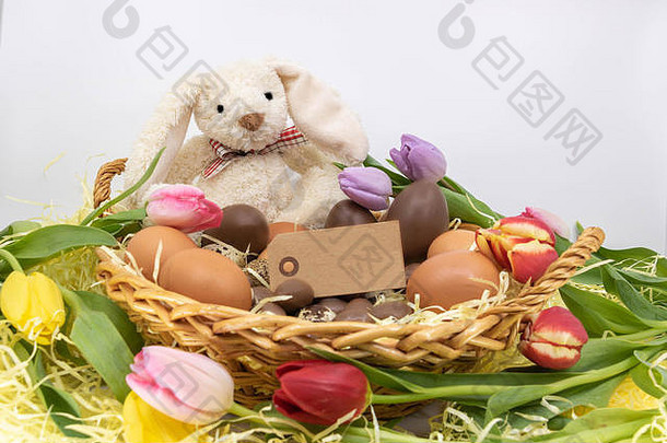 带郁金香、复活节彩蛋和文本框的巢中的复活节兔子