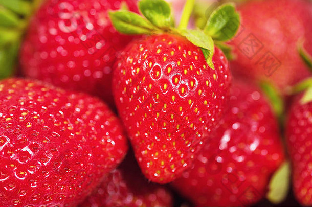 新鲜的成熟的完美的草莓食物框架背景