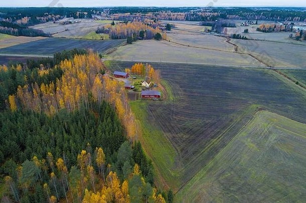 十月阴天的乡村景观（航空摄影）。芬兰