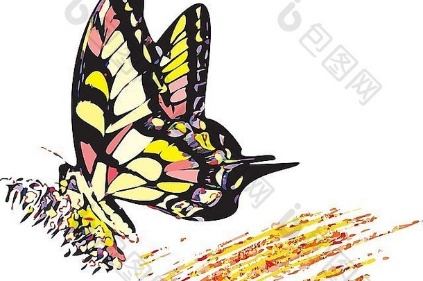 色彩斑斓的嬉皮士蝴蝶坐着花