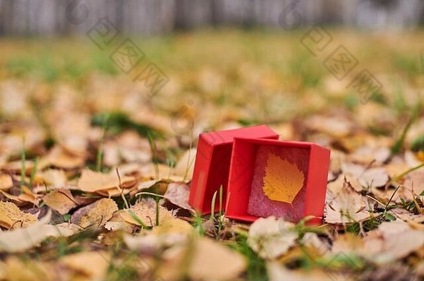 礼物盒子秋天叶结束季节概念复制空间天气预测改变象征