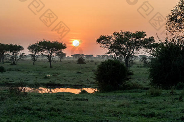 坦桑尼亚塞伦盖蒂格鲁美特野生动物保护区，日出倒映在雨池中