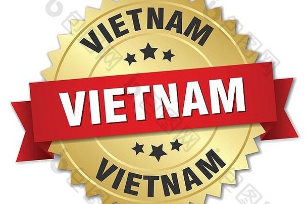 红色丝带的越南圆形金色徽章