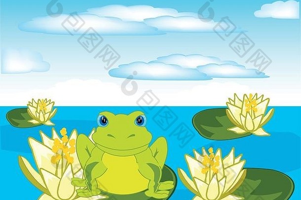 青蛙坐在水莉莉池塘