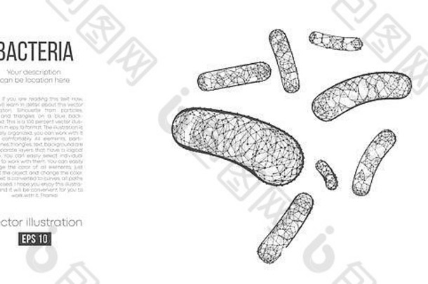 白色背景上多边形细菌的抽象轮廓。细菌世界的扫描、研究、研究。