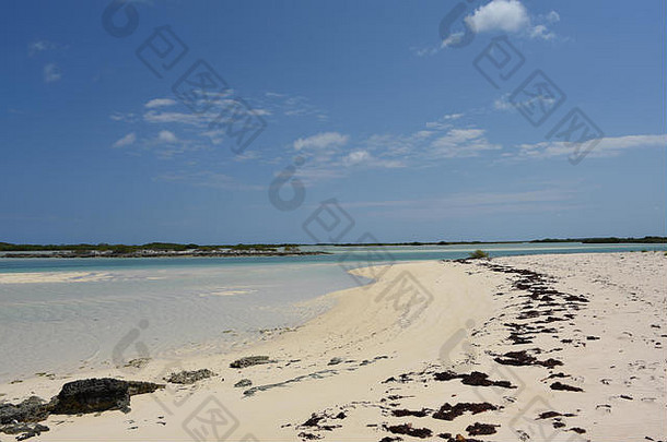 巴哈马群岛偏远的马亚圭亚纳岛提供了美丽海滩的壮丽广阔前景，你可以完全独享。也称为PAR