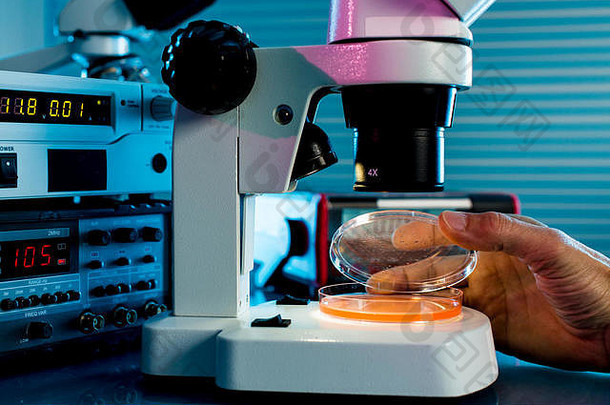实验室的培养皿和显微镜