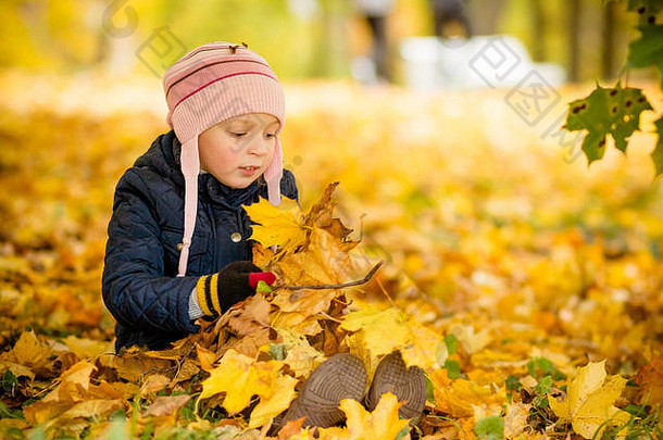 家庭，童年，秋天和人们的观念，快乐的女孩在公园里玩秋叶。小孩、小女孩在户外的大自然中嬉笑着玩着枫叶。十月一个阳光明媚的日子，一个蹒跚学步的孩子在枫树下。