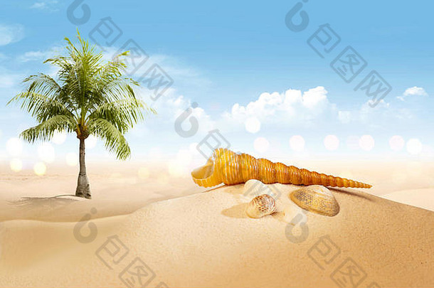 在蓝天背景下，观看沙滩上的贝壳和棕榈树