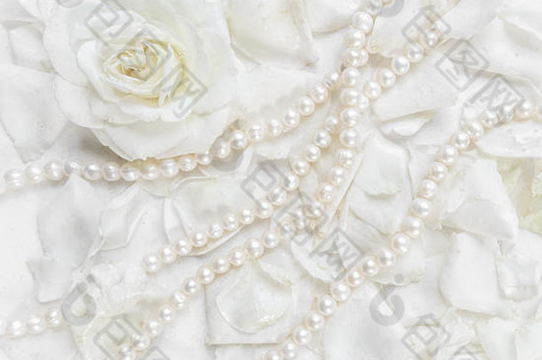 美丽的白玫瑰，花瓣和白色背景上的珍珠项链。婚礼、生日、情人节、母亲节贺卡的理想选择