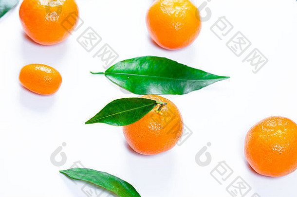 叶子背景为白色的新鲜柑橘。成熟可口的水果。新年和圣诞节的象征