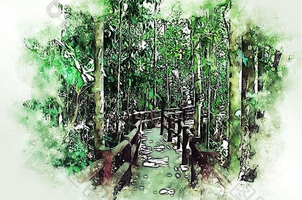 摘要以水彩画插画为背景，在森林中抽象出五颜六色的绿色树枝状树木。