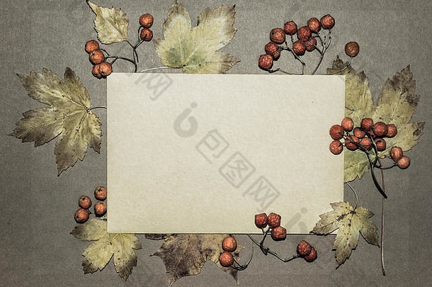秋天叶子罗文浆果变形纸背景空间