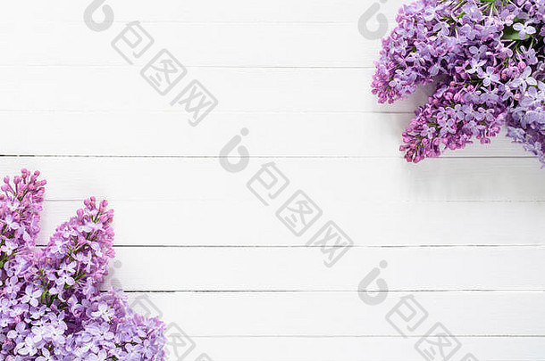 淡紫色花框架作文白色背景平躺紫丁香复制空间