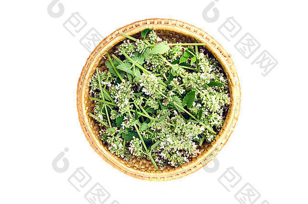 木质柳条盘中的新鲜药用柠檬香油、鲜花和草本植物。白色隔离