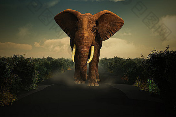 渲染大象走怀尔德梅斯相机