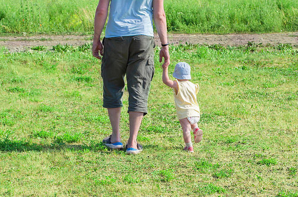 一岁的小牵着爸爸的手走了。父亲带着孩子穿过绿草。婴儿学着用脚走路