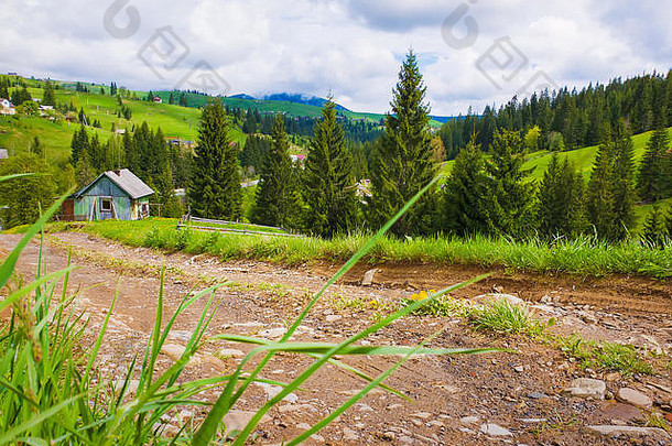 喀尔巴阡山脉上一条康特里公路通往一个木制小屋的老村庄的风景。春日阳光明媚，绿草葱茏，花香<strong>四溢</strong>