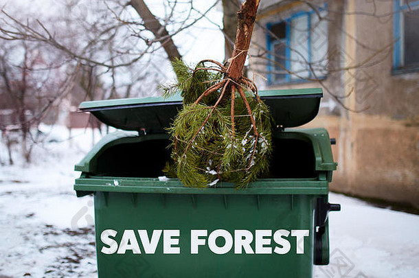 圣诞节结束了。垃圾箱中废弃的杉木，等待垃圾车收集。对自然不负责任的行为，保持绿色。森林砍伐保存森林标题。