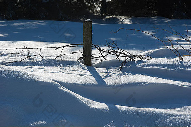 雪堆掩埋了藤蔓覆盖的篱笆，篱笆上有蓝色的影子