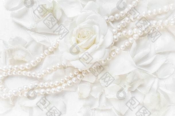美丽的白色玫瑰珍珠项链背景花瓣理想的问候卡片婚礼生日情人节一天母亲的一天