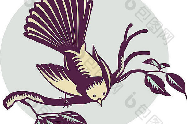复古木刻风格的新西兰扇尾鸟。